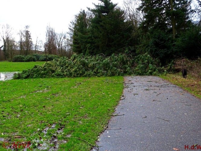 Storm terug in de tijd