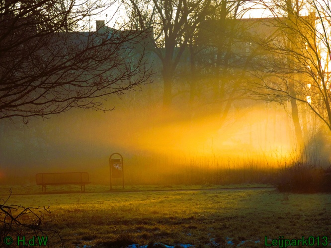 13 januari Mist en zon