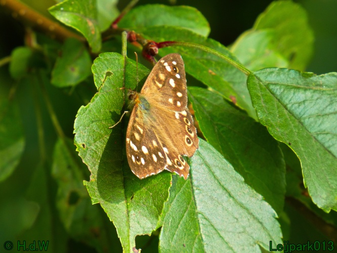 10 &amp; 11 &amp; 12 &amp; 13 augustus 2024