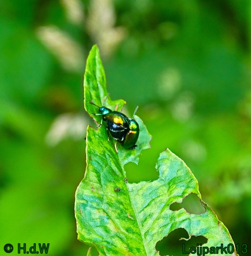 11 &amp; 12 &amp; 13 &amp; 14 juni 2024