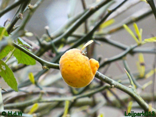 16 &amp; 17 &amp; 18 &amp; 19 december 2024