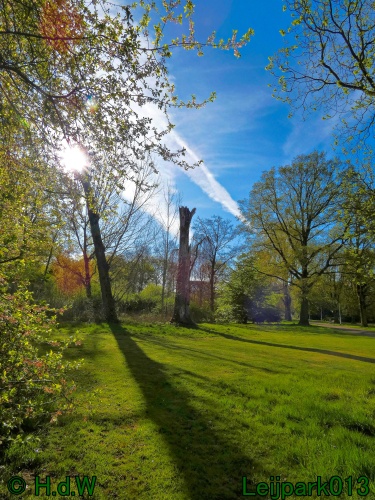 19 &amp; 20 &amp; 21 &amp; 22 maart 2025