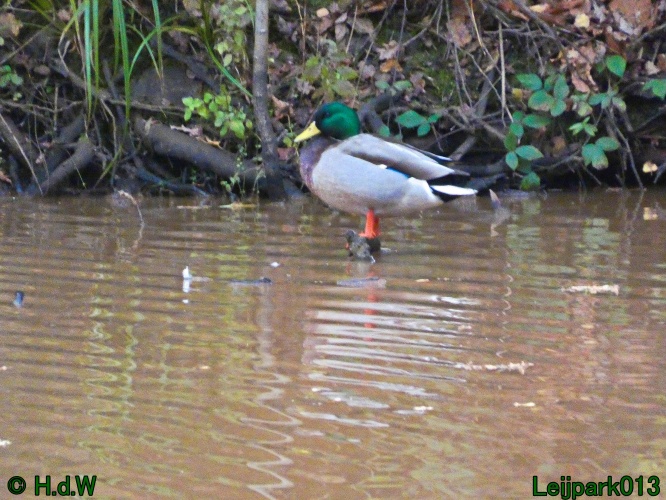 10 &amp; 11 &amp; 12 &amp; 13 november 2024