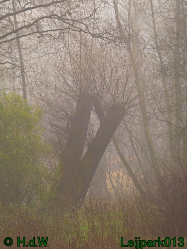 1 &amp; 2 &amp; 3 &amp; 4 januari 2025