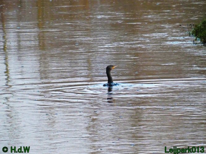 1 &amp; 2 &amp; 3 &amp; 4 januari 2025