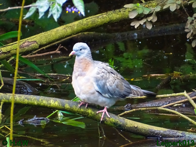 27 &amp; 28 &amp; 29 &amp; 30 juni 2024