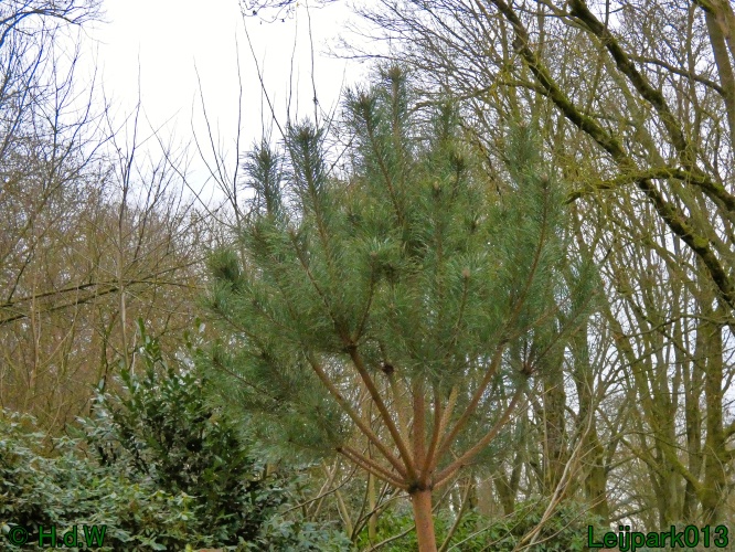 20 &amp; 21 &amp; 22 &amp; 23 december 2024