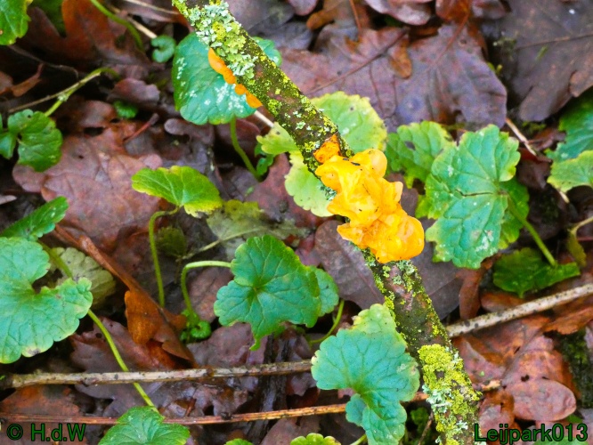 1 &amp; 2 &amp; 3 &amp; 4 januari 2025