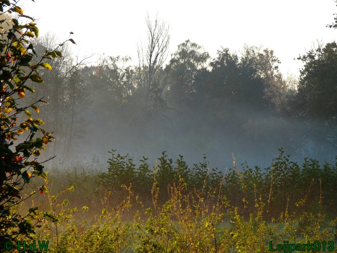 3 november 2024 Vanmorgenwas er mist in het Leijpark