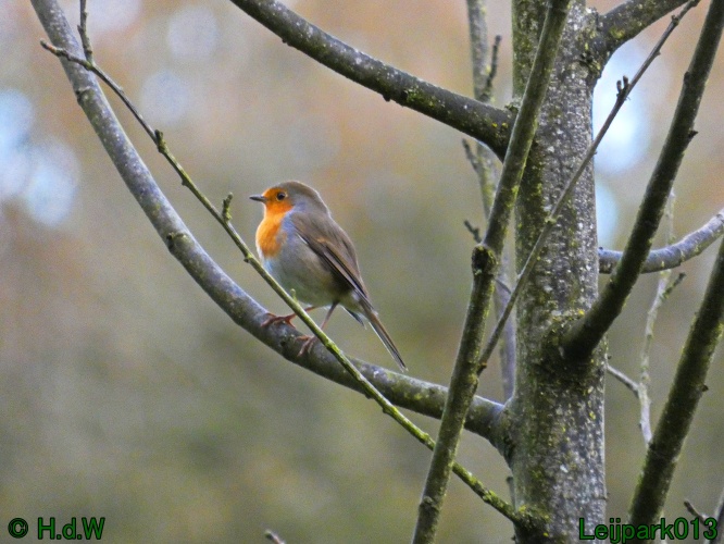 30 november &amp; 1 &amp; 2 &amp; 3 december 2024