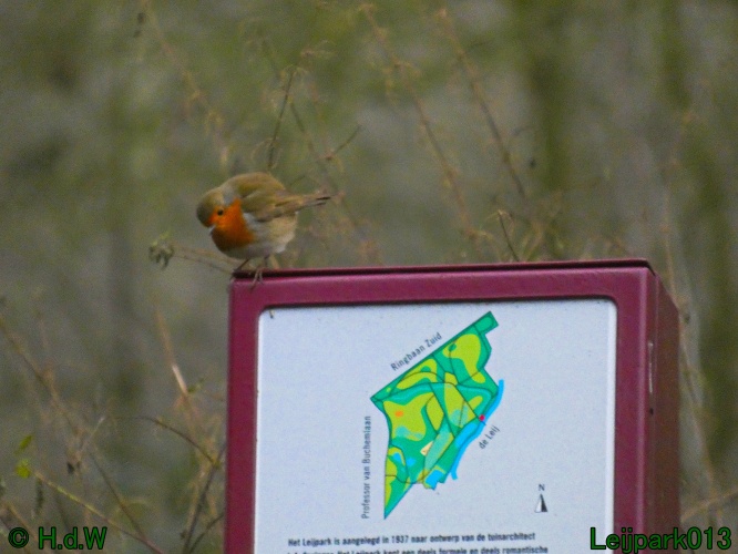 21 &amp; 22 &amp; 23 &amp; 24 januari 2025