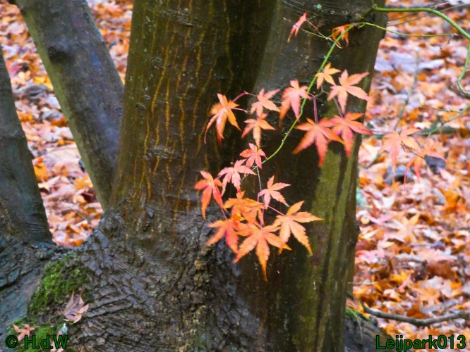 20 &amp; 21 &amp; 22 &amp; 23 december 2024