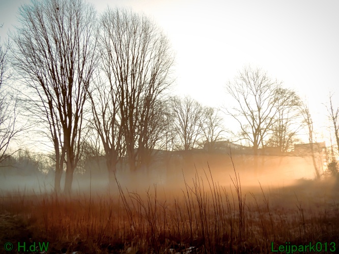 13 januari Mist en zon