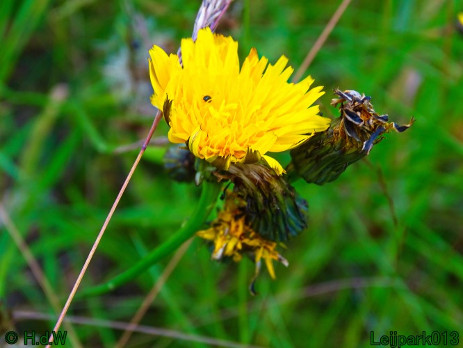 27 &amp; 28 &amp; 29 &amp; 30 juni 2024