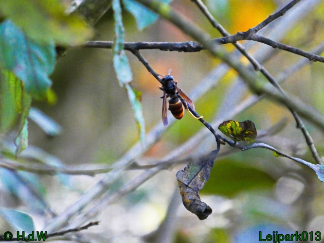 21 &amp; 22 &amp; 23 &amp; 24 oktober 2024