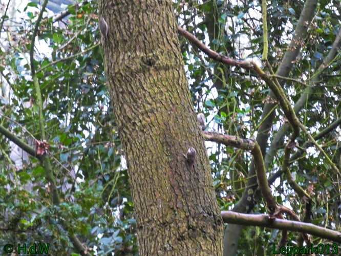 20 &amp; 21 &amp; 22 &amp; 23 december 2024