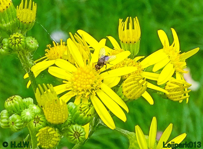 25 &amp; 26 &amp; 27 &amp; 28 juli 2024