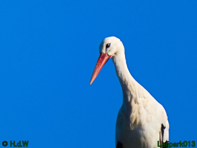 3 &amp; 4 &amp; 5 &amp; 6 april 2025