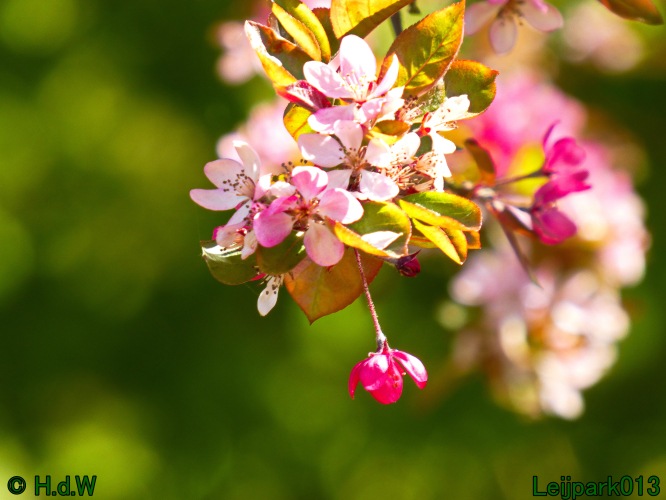 19 &amp; 20 &amp; 21 &amp; 22 maart 2025