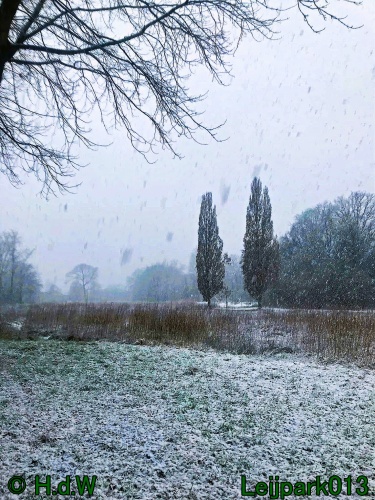 9 &amp; 10 &amp; 11 &amp; 12 januari 2025