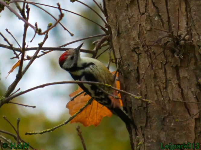 1 &amp; 2 &amp; 3 &amp; 4 oktober 2025