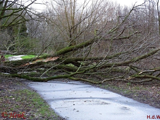 Storm terug in de tijd