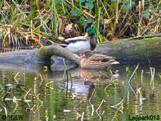 30 november &amp; 1 &amp; 2 &amp; 3 december 2024