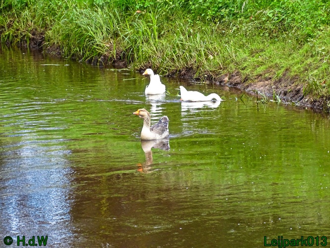 11 &amp; 12 &amp; 13 &amp; 14 juni 2024