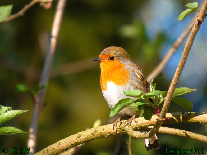 3 &amp; 4 &amp; 5 &amp; 6 april 2025