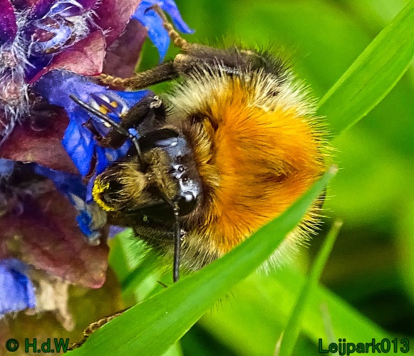 30 april 1 &amp; 2 &amp; 3 mei 2024