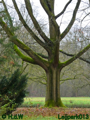 20 &amp; 21 &amp; 22 &amp; 23 december 2024