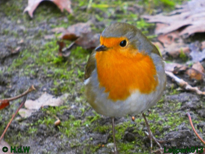 10 &amp; 11 &amp; 12 &amp; 13 november 2024