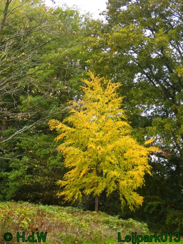 28 &amp; 29 &amp; 30 &amp; 31 oktober 2025