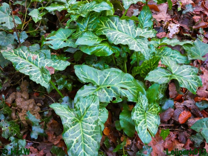 1 &amp; 2 &amp; 3 &amp; 4 januari 2025