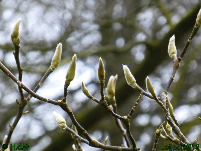 9 &amp; 10 &amp; 11 &amp; 12 januari 2025