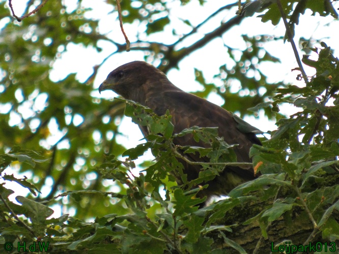 22 &amp; 23 &amp; 24 &amp; 25 augustus 2024