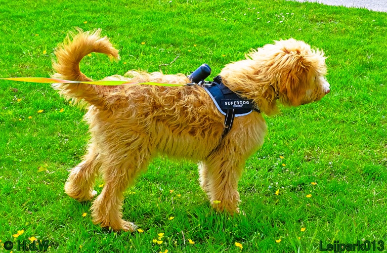 Beestenboel 12 mei 2024