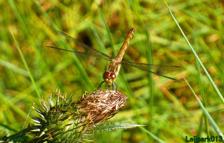 22 &amp; 23 &amp; 24 &amp; 25 augustus 2024