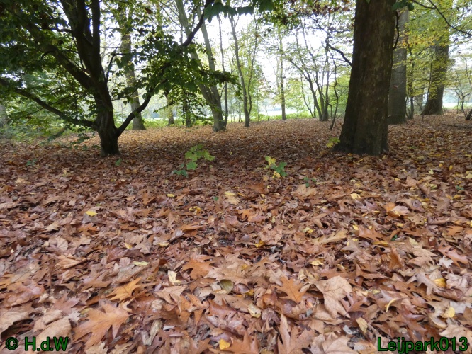 10 &amp; 11 &amp; 12 &amp; 13 november 2024