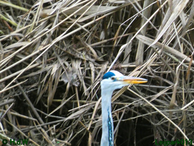 20 &amp; 21 &amp; 22 &amp; 23 december 2024