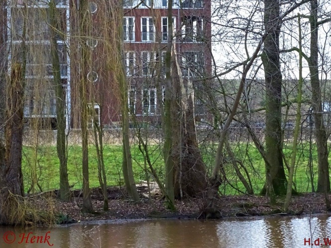 Storm terug in de tijd