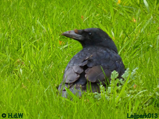 28 &amp; 29 &amp; 30 &amp; 31 oktober 2025