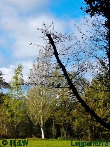 1 &amp; 2 &amp; 3 &amp; 4 oktober 2024