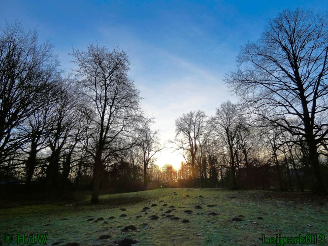 9 &amp; 10 &amp; 11 &amp; 12 januari 2025