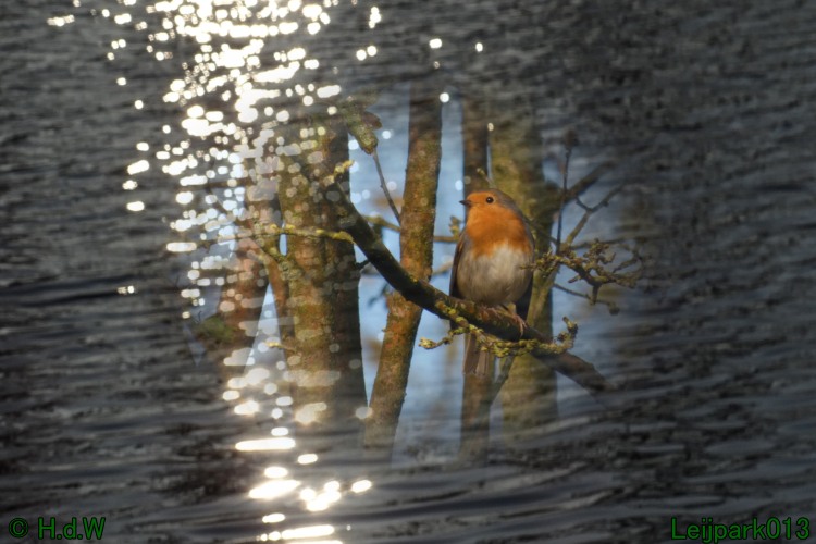 2 &amp; 3 &amp; 4 &amp; 5 November 2024