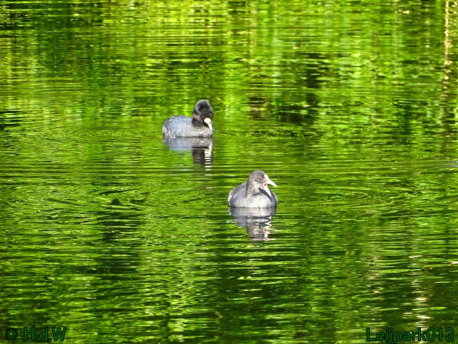 5 &amp; 6 &amp; 7 &amp; 8 juli 2024