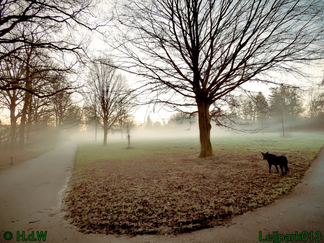 13 januari Mist en zon