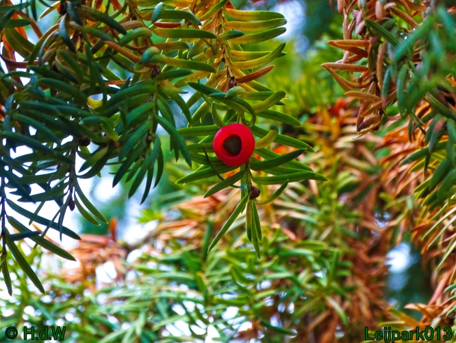 29 &amp; 30 &amp; 31 juli &amp; 1 augustus 2024