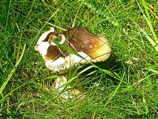 27 &amp; 28 &amp; 29 &amp; 30 juni 2024