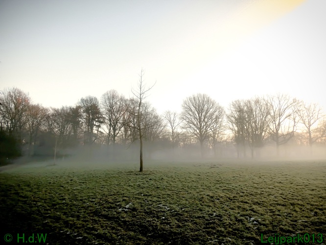 13 januari Mist en zon